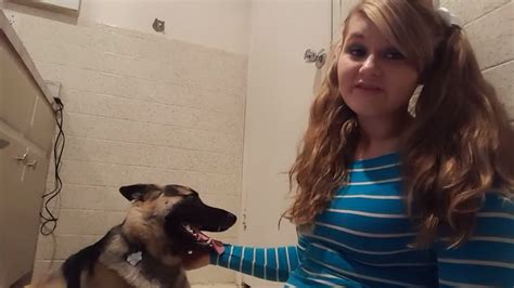 amateur dog sex|Nervous housewife films herself taking her dogs cock for the.